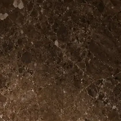 Forest Brown Polish stone surface