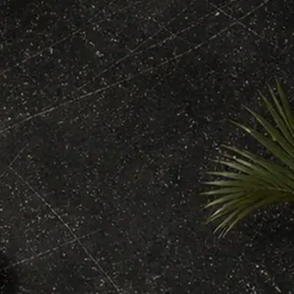 Nero Impala Polish stone surface