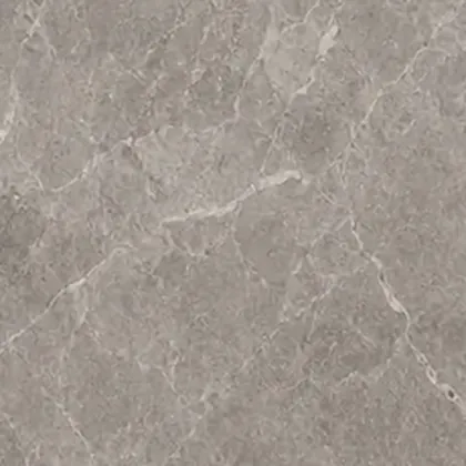 Palace Grey stone surface